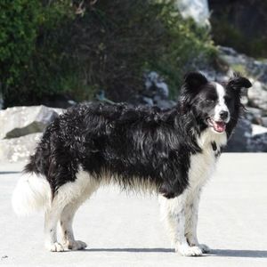 Meet your Posher, Tara